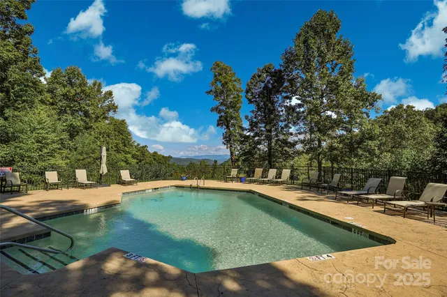 a view of a flower in a garden