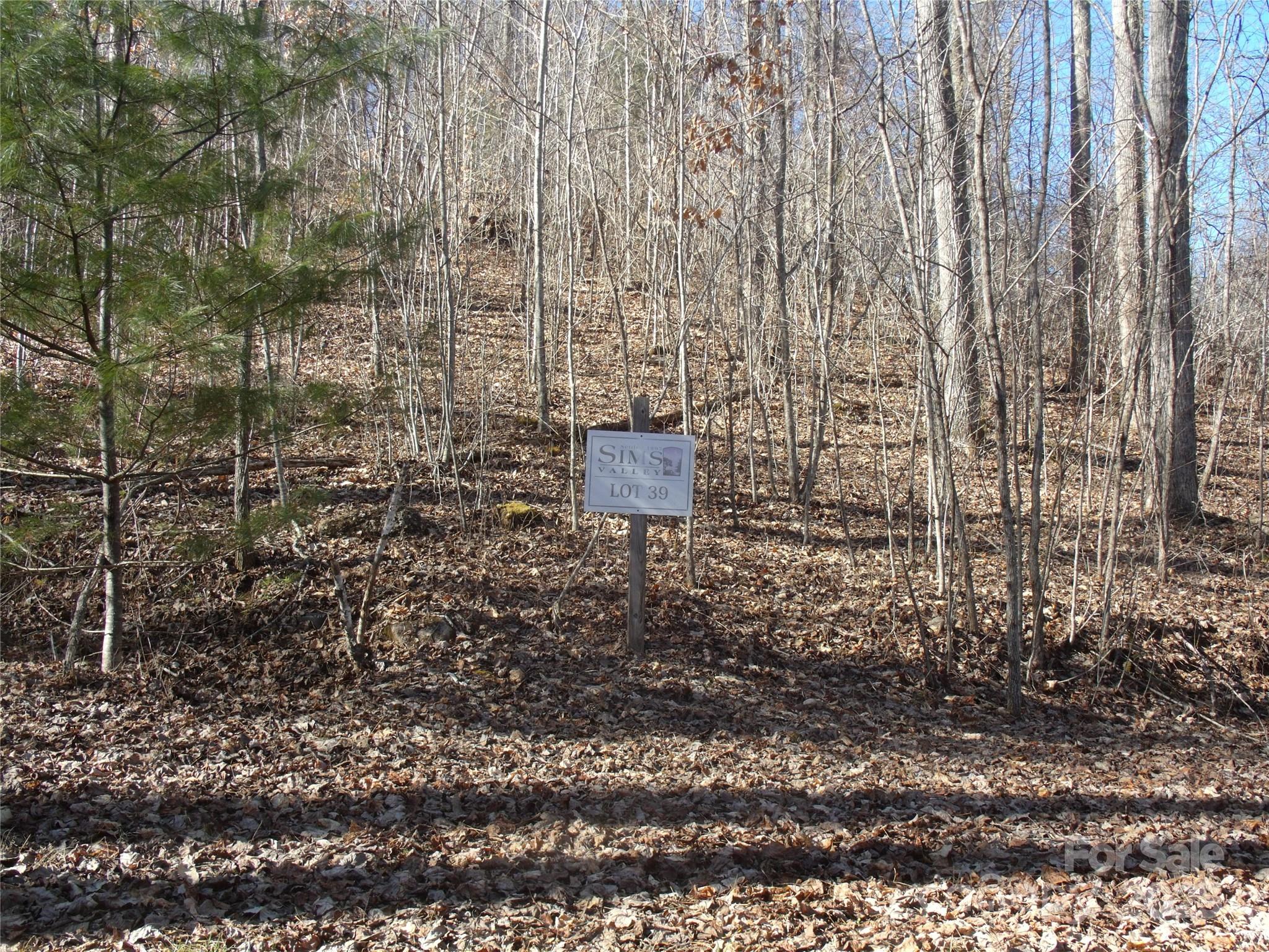 Lot 39 Sweet Spring Trail, Unit 39 Glenville, NC 28736 - Photo 2 of 27 a bathroom with a shower