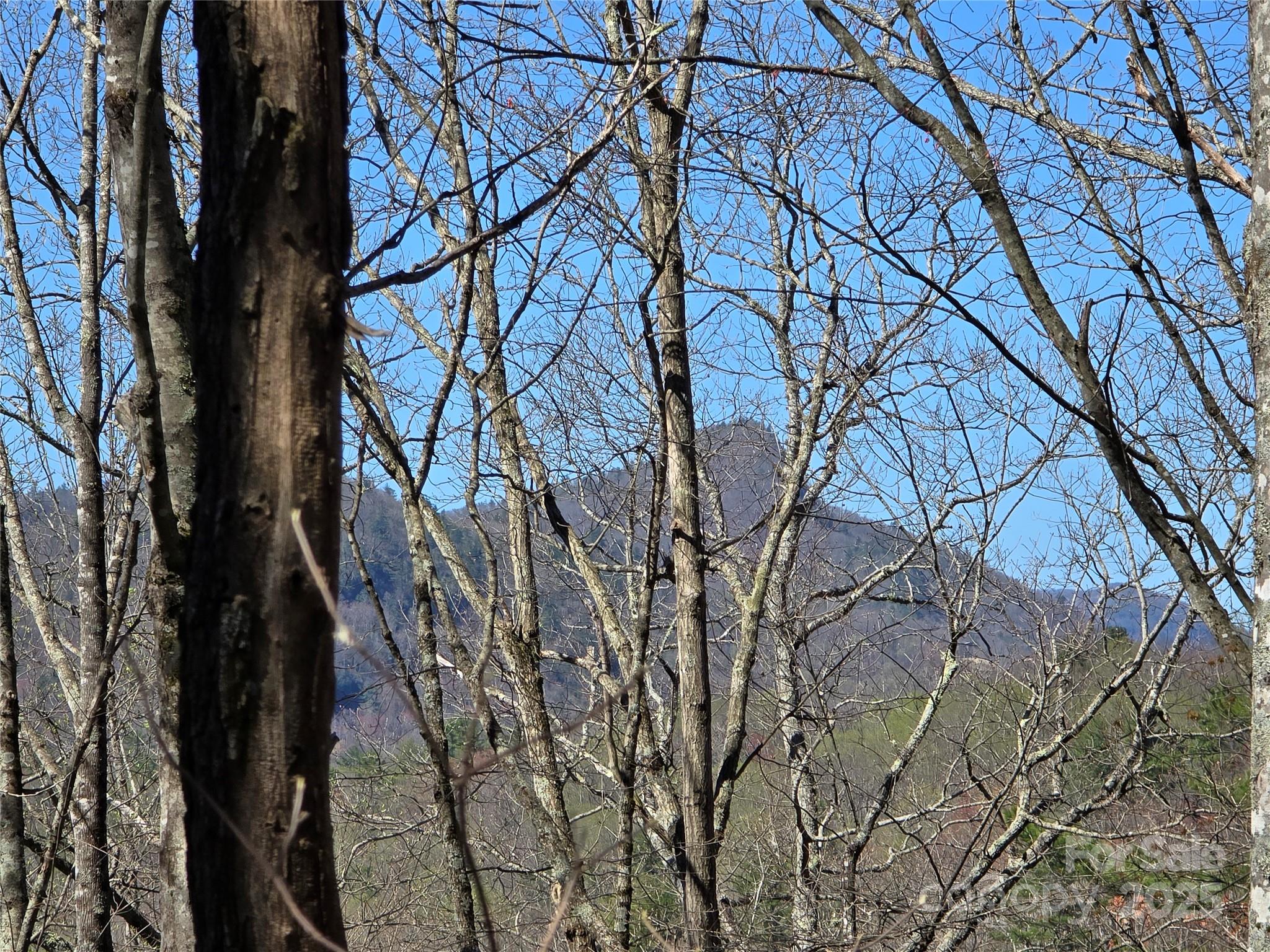 Lot 39 Sweet Spring Trail, Unit 39 Glenville, NC 28736 - Photo 4 of 27 a backyard of a house with lots of green space