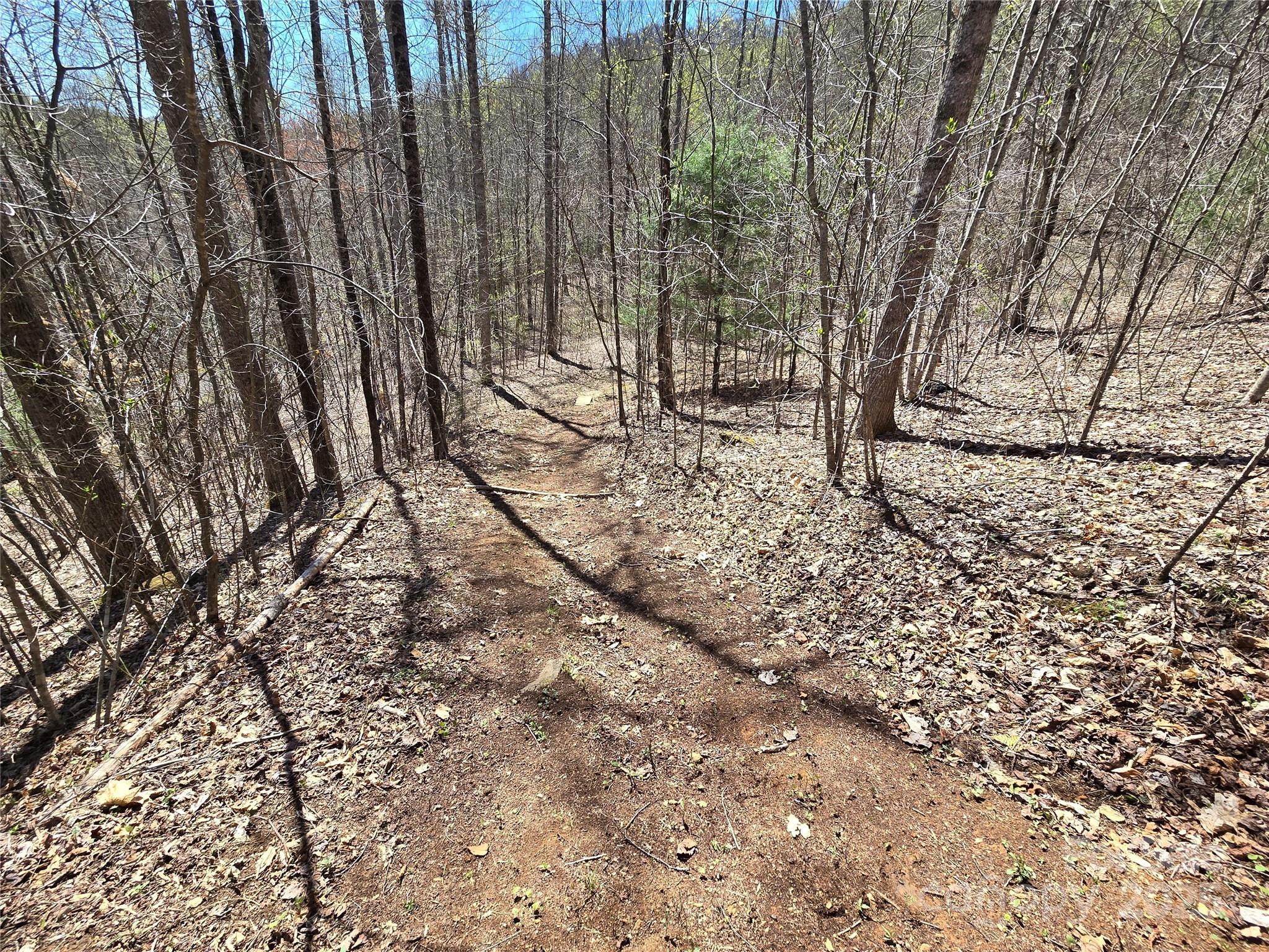 Lot 39 Sweet Spring Trail, Unit 39 Glenville, NC 28736 - Photo 6 of 27 a view of outdoor space with a tree