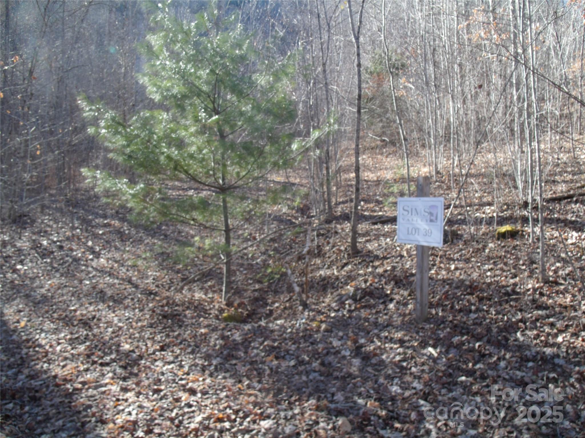 Lot 39 Sweet Spring Trail, Unit 39 Glenville, NC 28736 - Photo 7 of 27 a view of a dry yard with trees