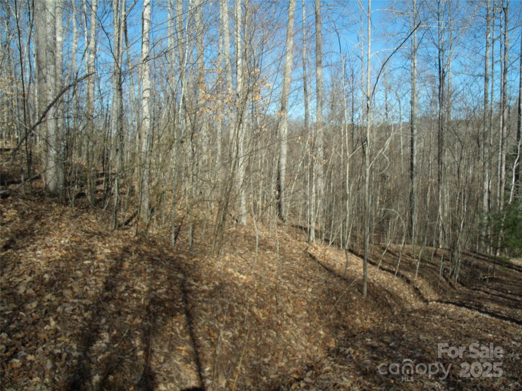 Lot 39 Sweet Spring Trail, Unit 39 Glenville, NC 28736 - Photo 8 of 27 a view of a yard with trees in the background