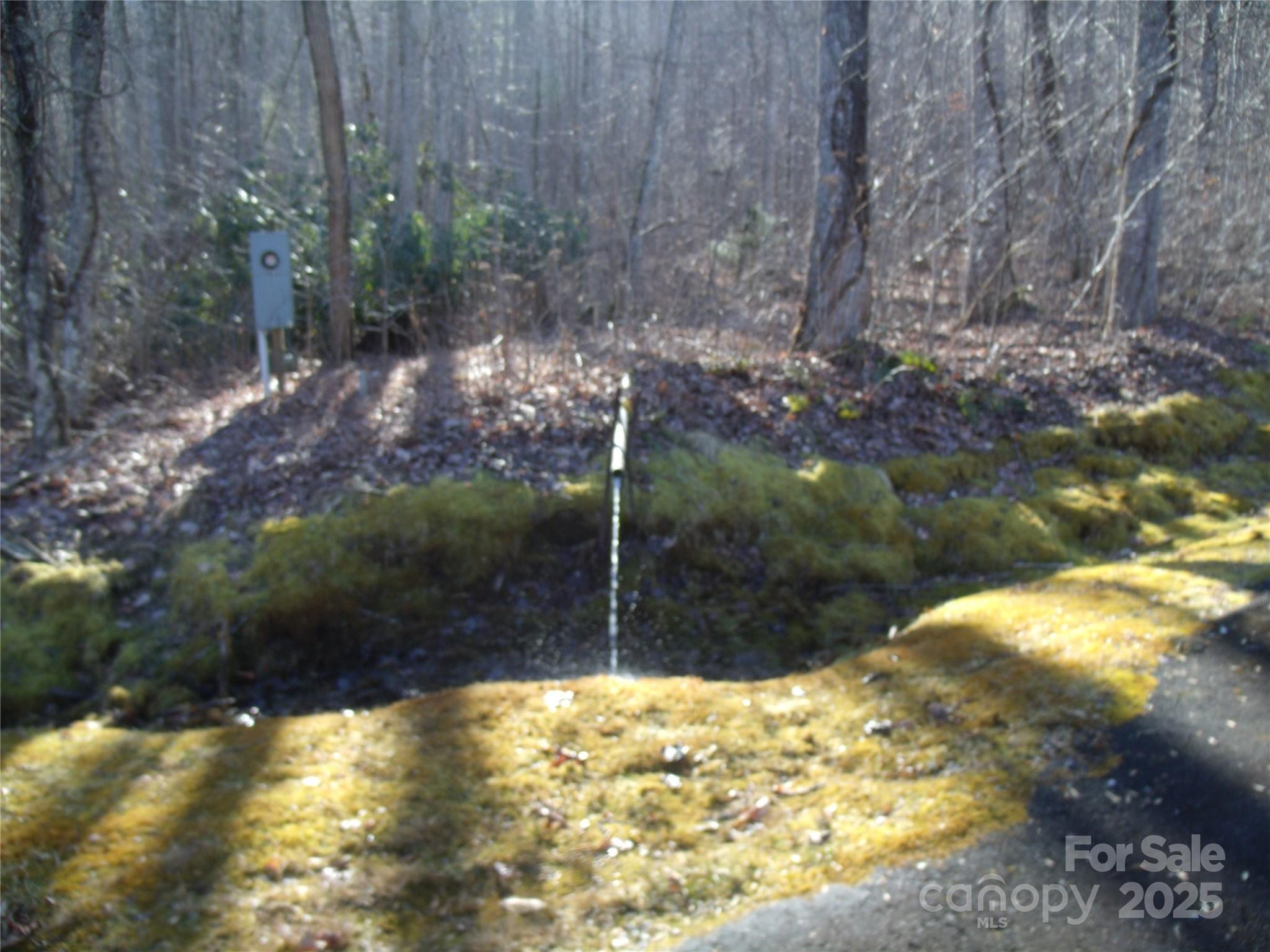 Lot 39 Sweet Spring Trail, Unit 39 Glenville, NC 28736 - Photo 9 of 27 a view of a backyard