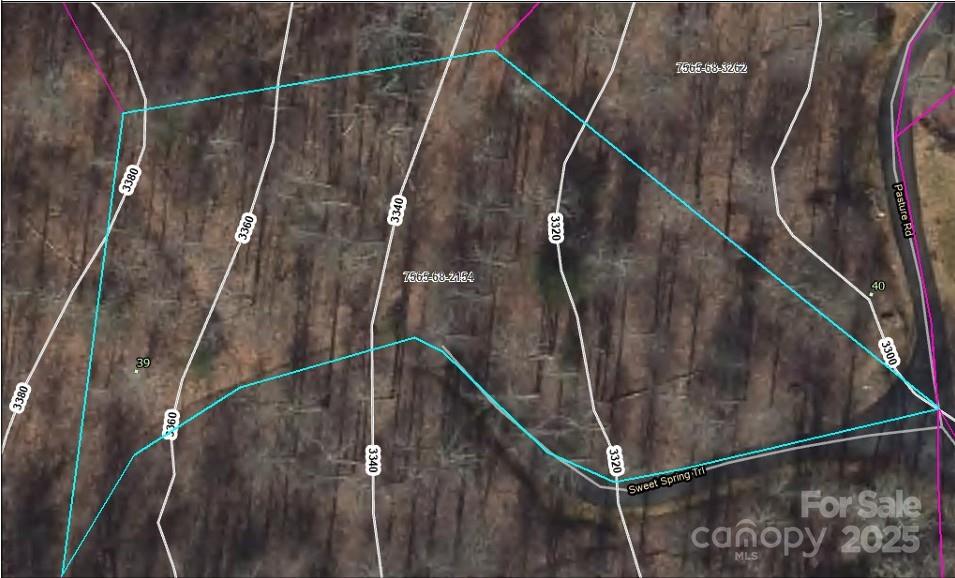 Lot 39 Sweet Spring Trail, Unit 39 Glenville, NC 28736 - Photo 10 of 27