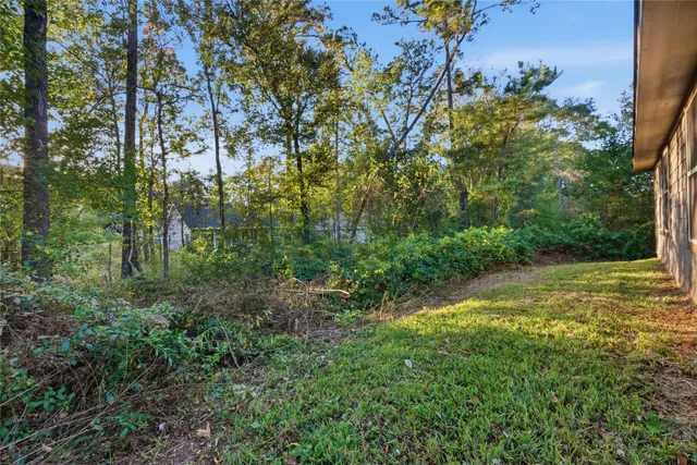 a view of a yard with a tree