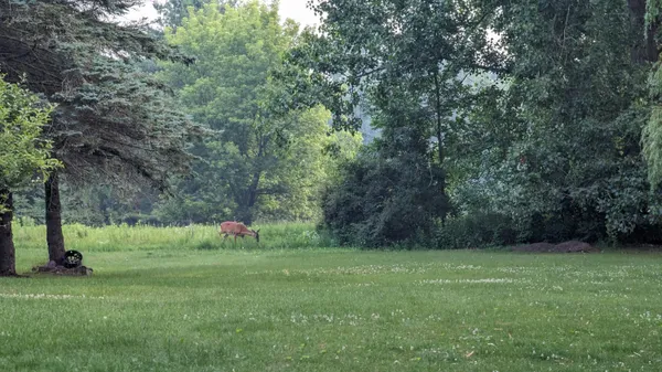 $447,500 | 4804 County Hwy VV, Two Rivers, WI 54241