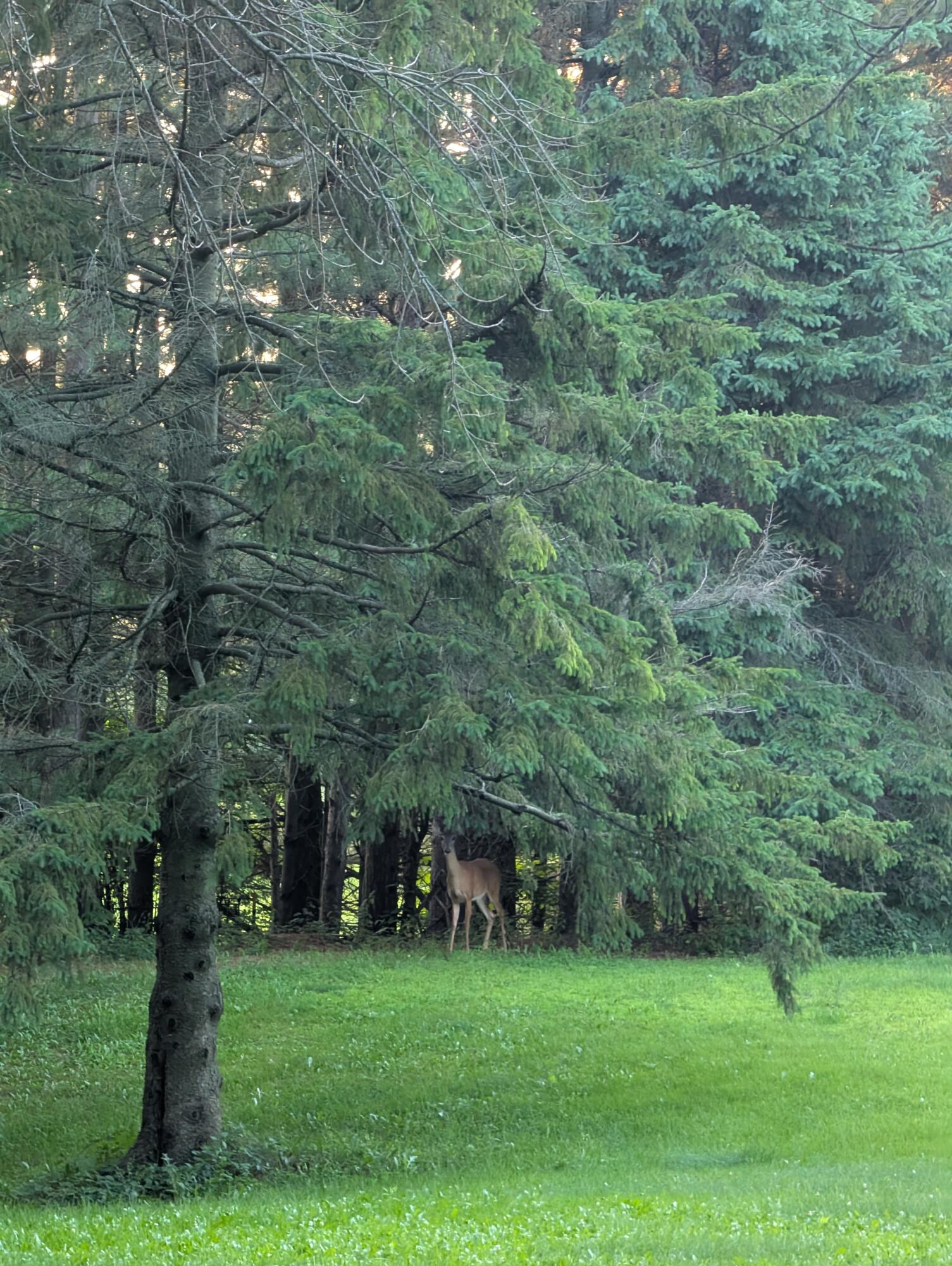 4804 County Hwy VV Two Rivers, WI 54241 - Photo 36 of 60 Peekaboo