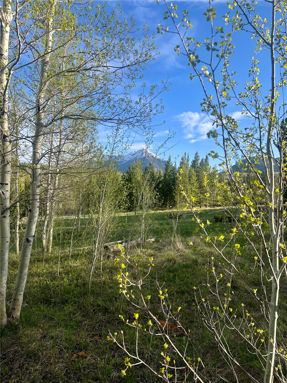 95600 Ryan Gulch Road, Unit 95613 Wildernest, CO 80498 - Photo 36 of 37