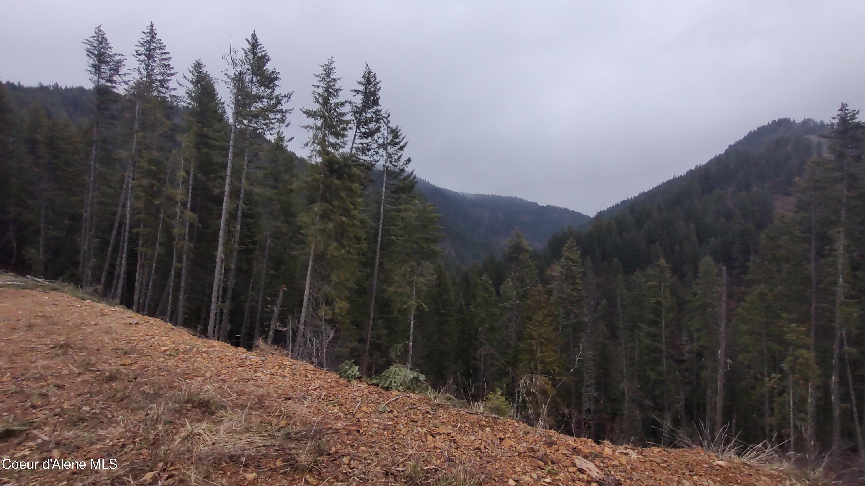 480 Dunn Peak Road Avery, ID 83802 - Photo 11 of 33 IMG_20260329_113304454