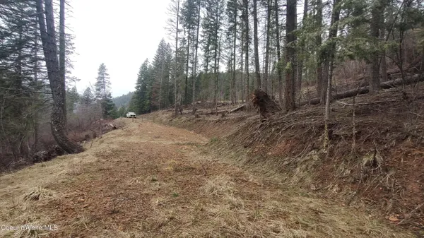 $590,000 | 480 Dunn Peak Road, Avery, ID 83802