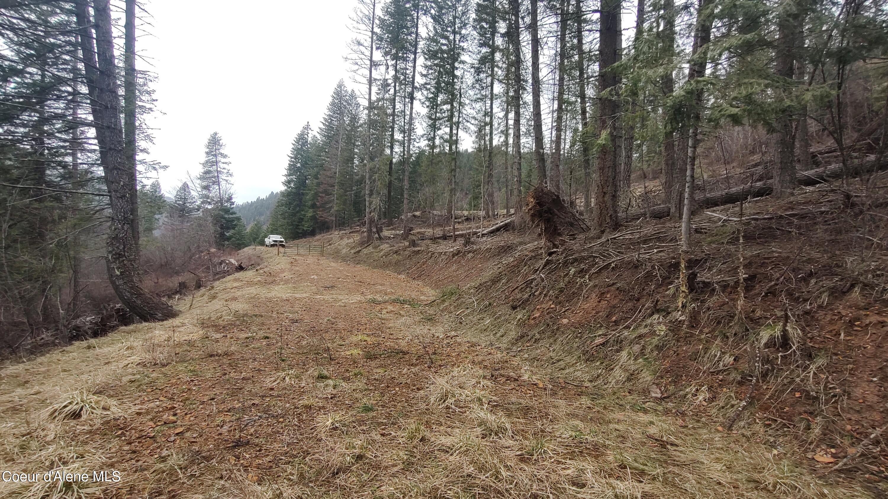 480 Dunn Peak Road Avery, ID 83802 - Photo 12 of 33 IMG_20260329_111443717