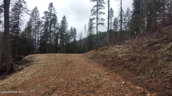 $590,000 | 480 Dunn Peak Road, Avery, ID 83802