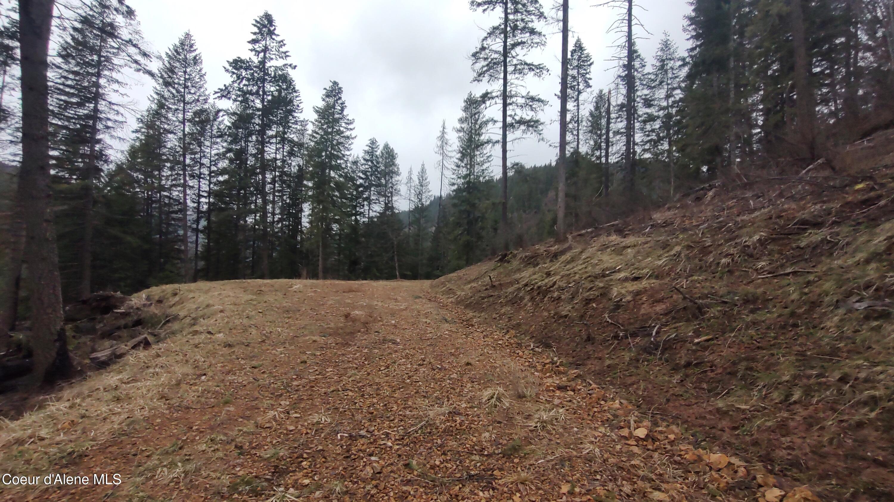 480 Dunn Peak Road Avery, ID 83802 - Photo 13 of 33 IMG_20260329_111739099