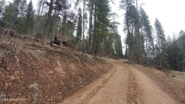 $590,000 | 480 Dunn Peak Road, Avery, ID 83802