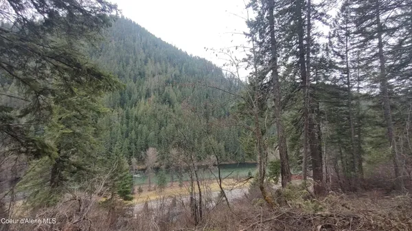 $590,000 | 480 Dunn Peak Road, Avery, ID 83802