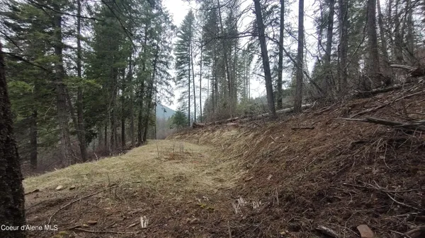 $590,000 | 480 Dunn Peak Road, Avery, ID 83802