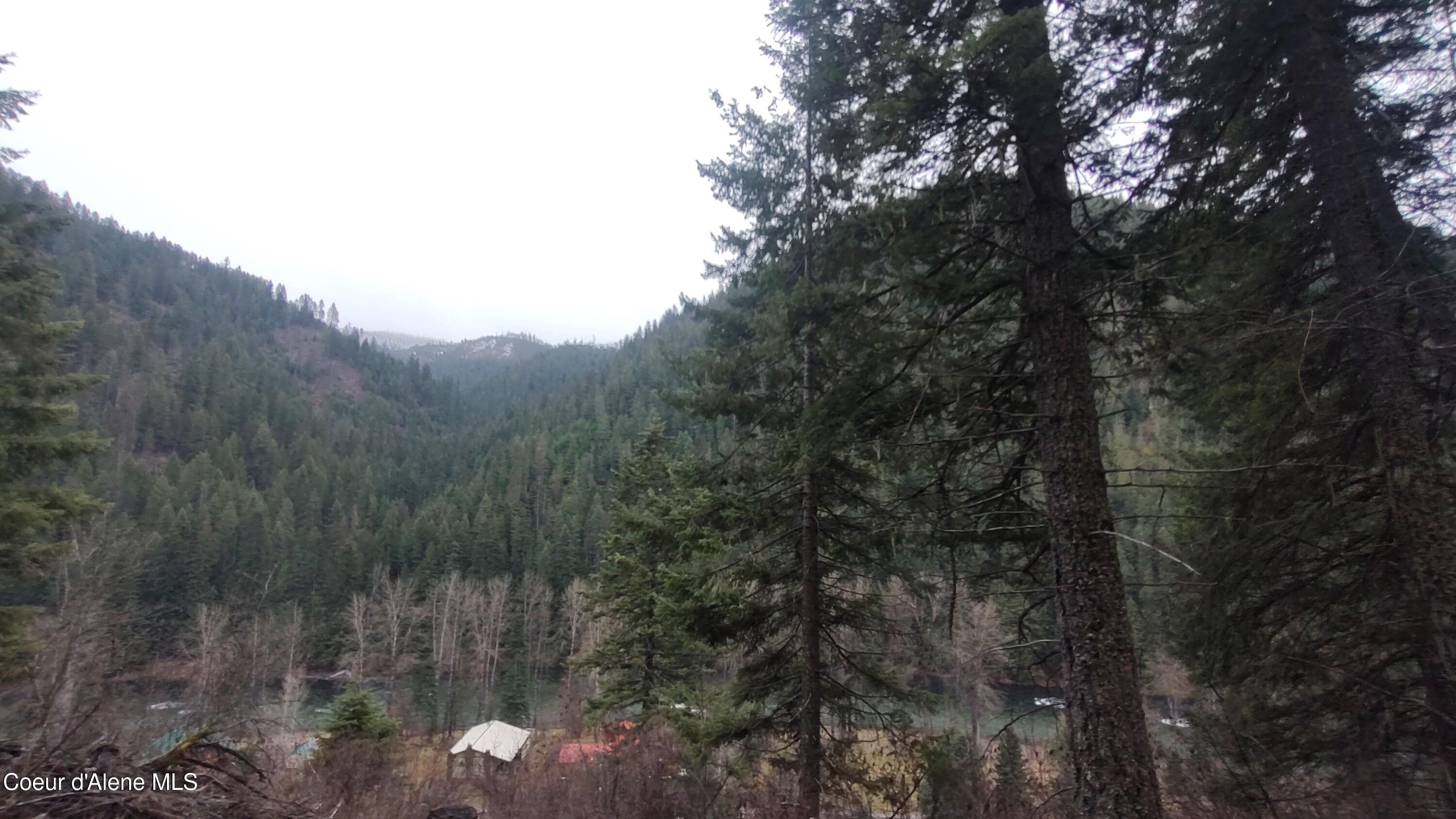 480 Dunn Peak Road Avery, ID 83802 - Photo 17 of 33 IMG_20260329_111325969