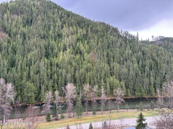 $590,000 | 480 Dunn Peak Road, Avery, ID 83802