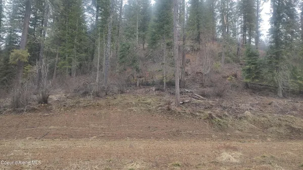 $590,000 | 480 Dunn Peak Road, Avery, ID 83802