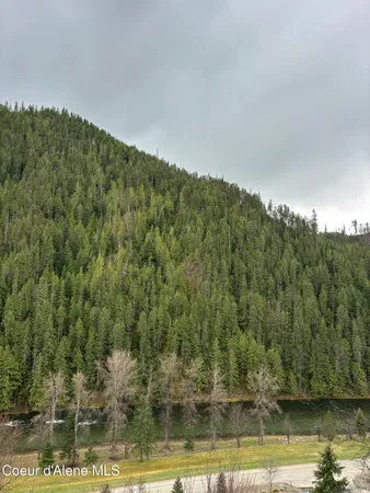 $590,000 | 480 Dunn Peak Road, Avery, ID 83802