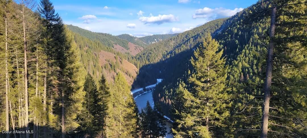 480 Dunn Peak Road Avery, ID 83802 - Photo 2 of 33 FB_IMG_1741378490378