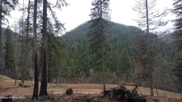 $590,000 | 480 Dunn Peak Road, Avery, ID 83802