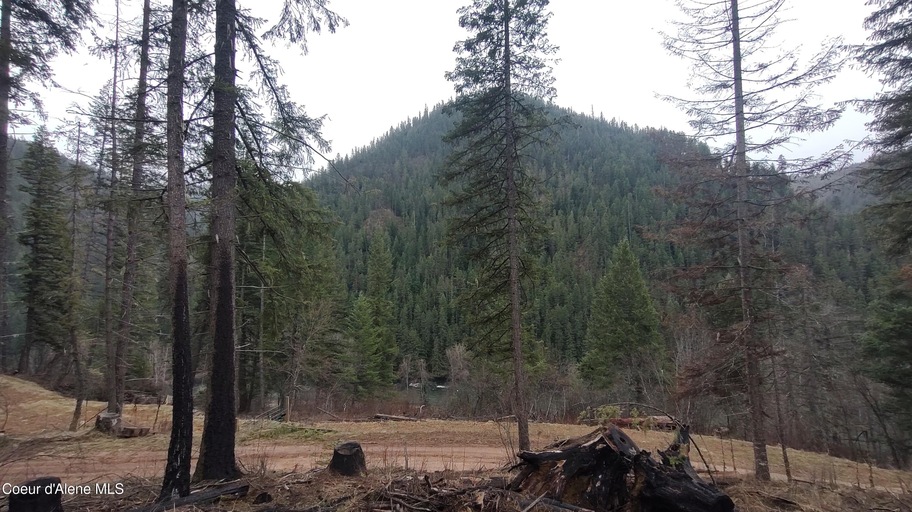480 Dunn Peak Road Avery, ID 83802 - Photo 21 of 36 IMG_20260329_112054605