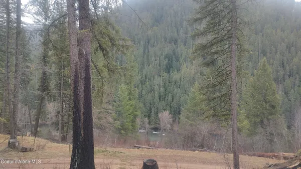 $590,000 | 480 Dunn Peak Road, Avery, ID 83802