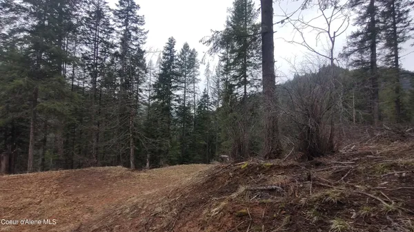 $590,000 | 480 Dunn Peak Road, Avery, ID 83802