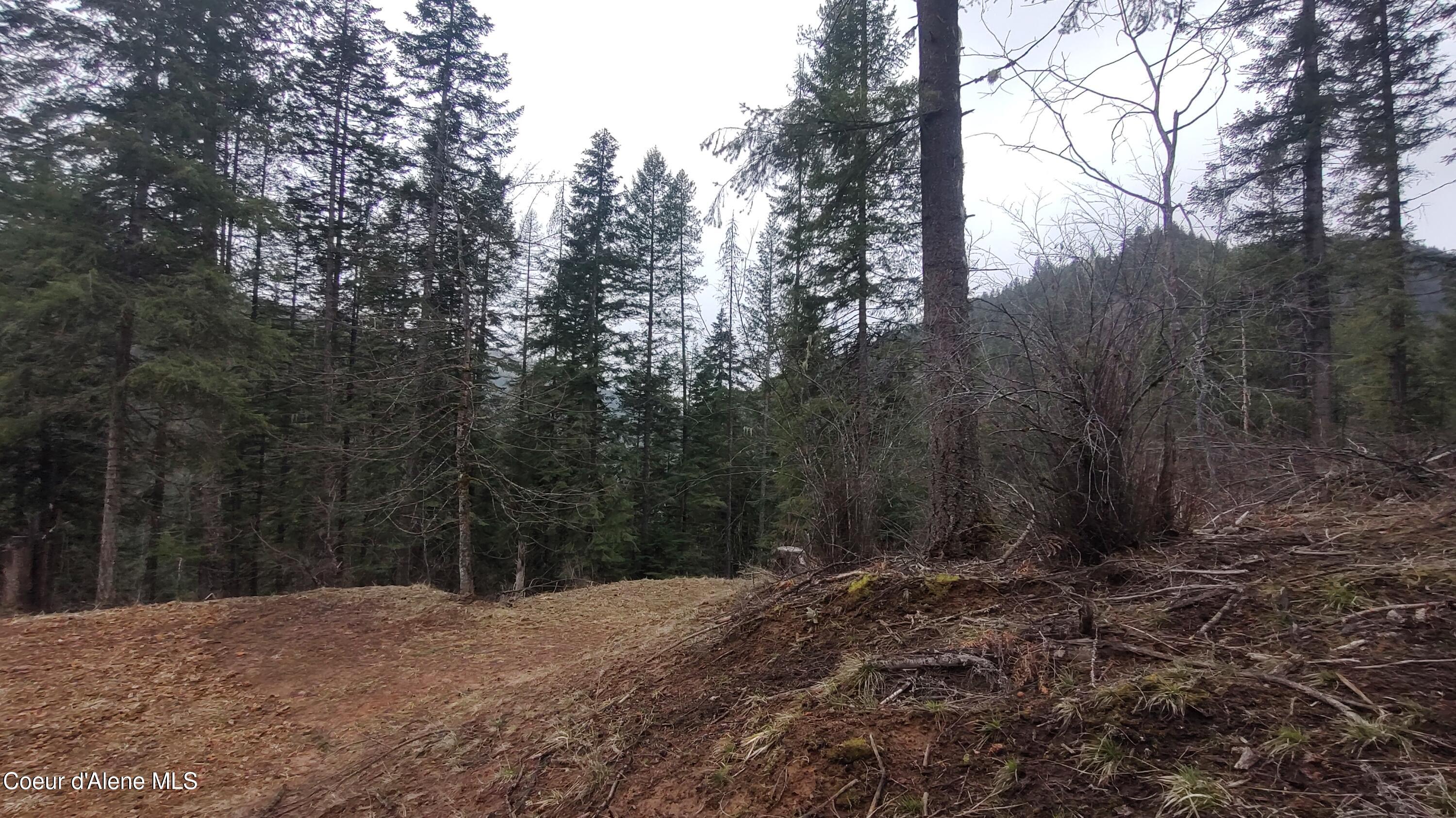 480 Dunn Peak Road Avery, ID 83802 - Photo 22 of 33 IMG_20260329_111837579