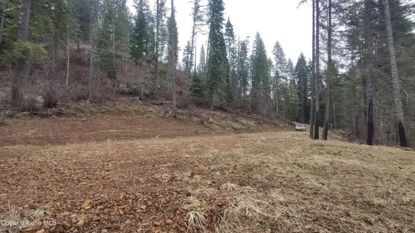 $590,000 | 480 Dunn Peak Road, Avery, ID 83802