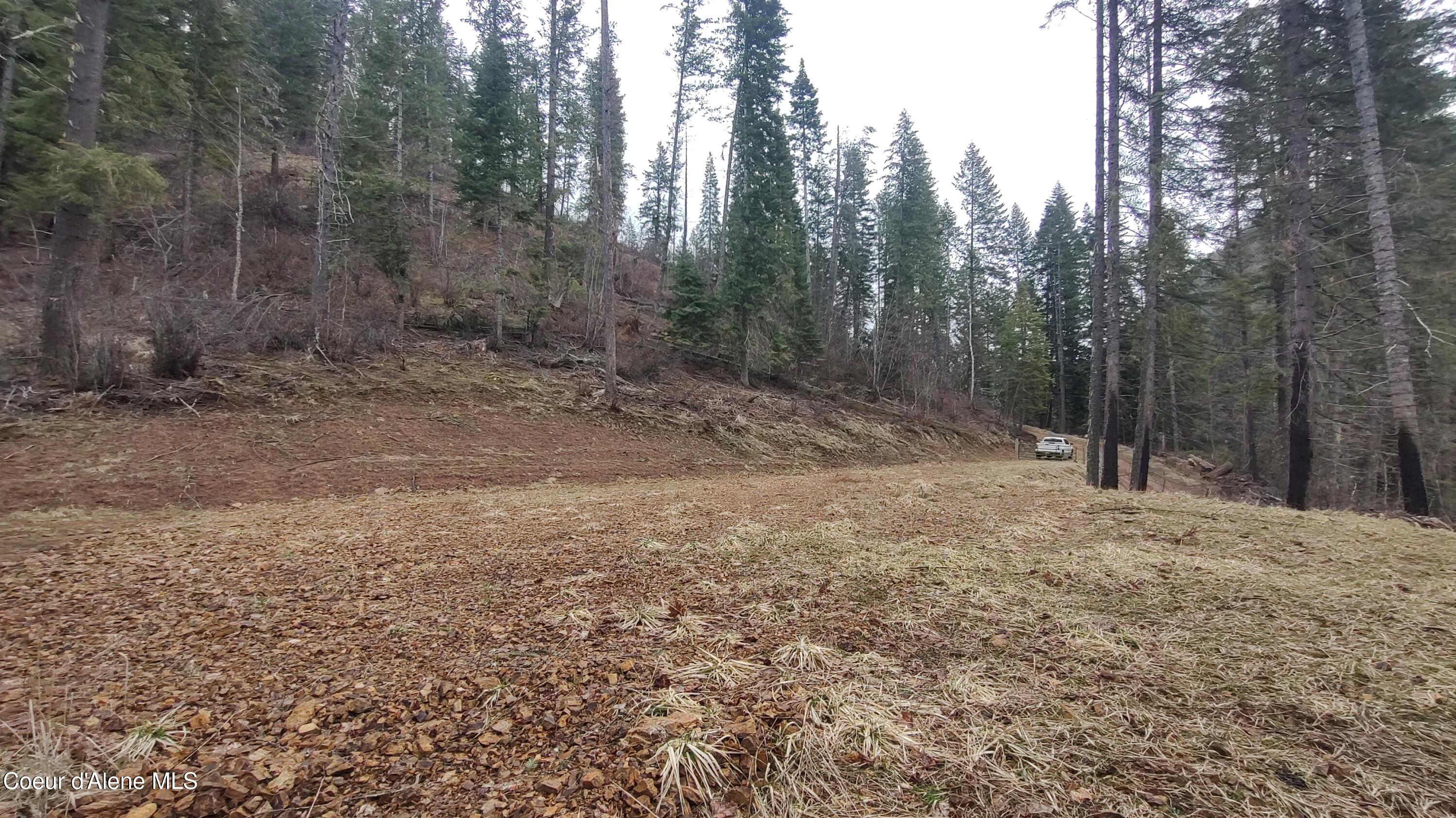 480 Dunn Peak Road Avery, ID 83802 - Photo 22 of 36 IMG_20260329_112029651
