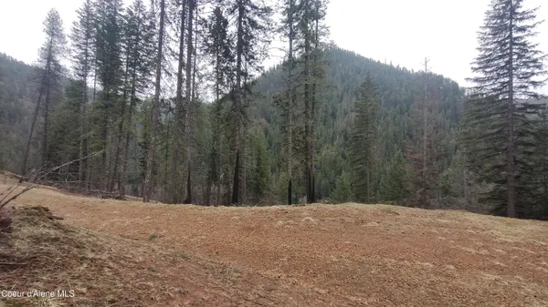 $590,000 | 480 Dunn Peak Road, Avery, ID 83802