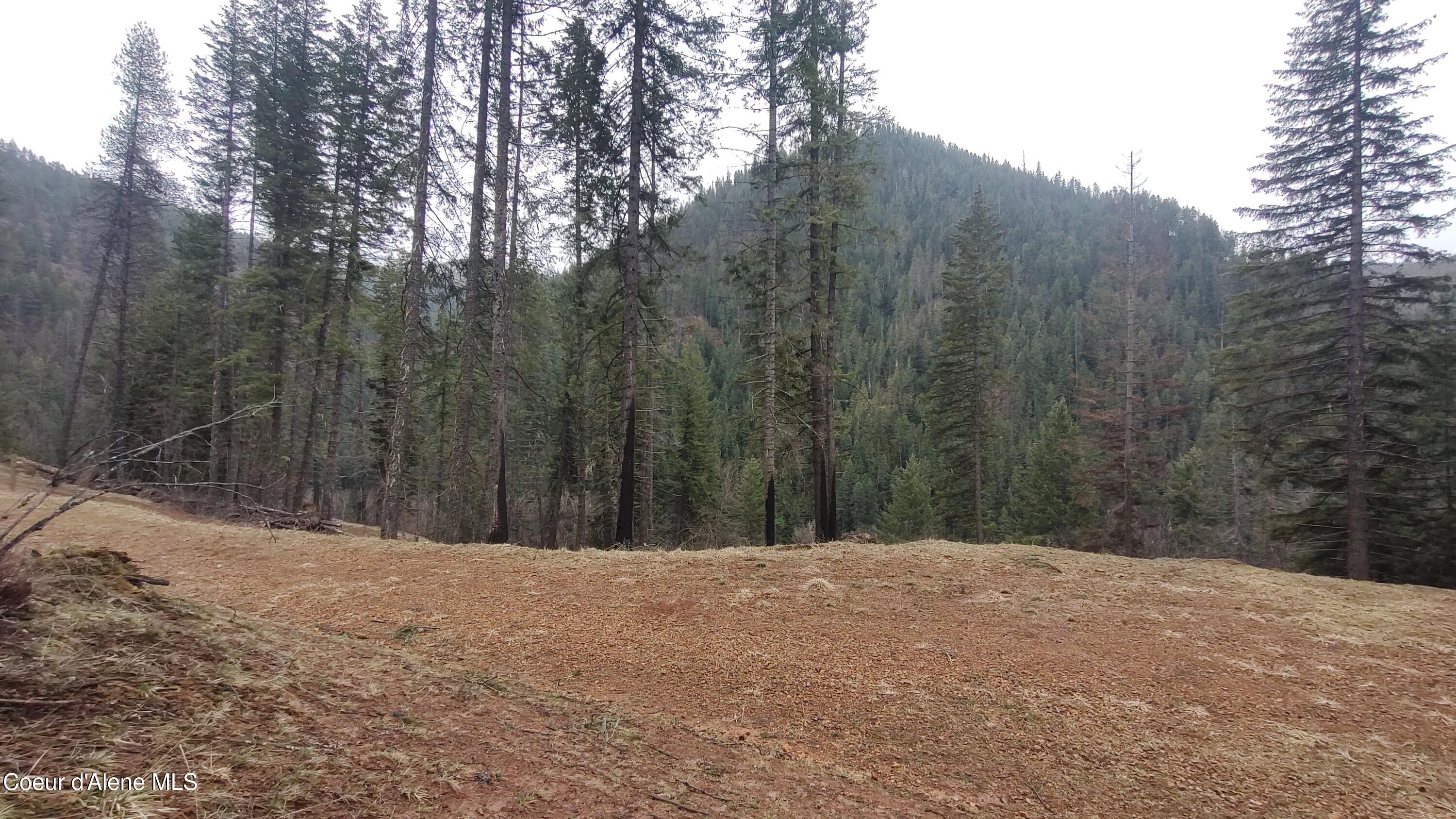 480 Dunn Peak Road Avery, ID 83802 - Photo 24 of 36 IMG_20260329_111833490