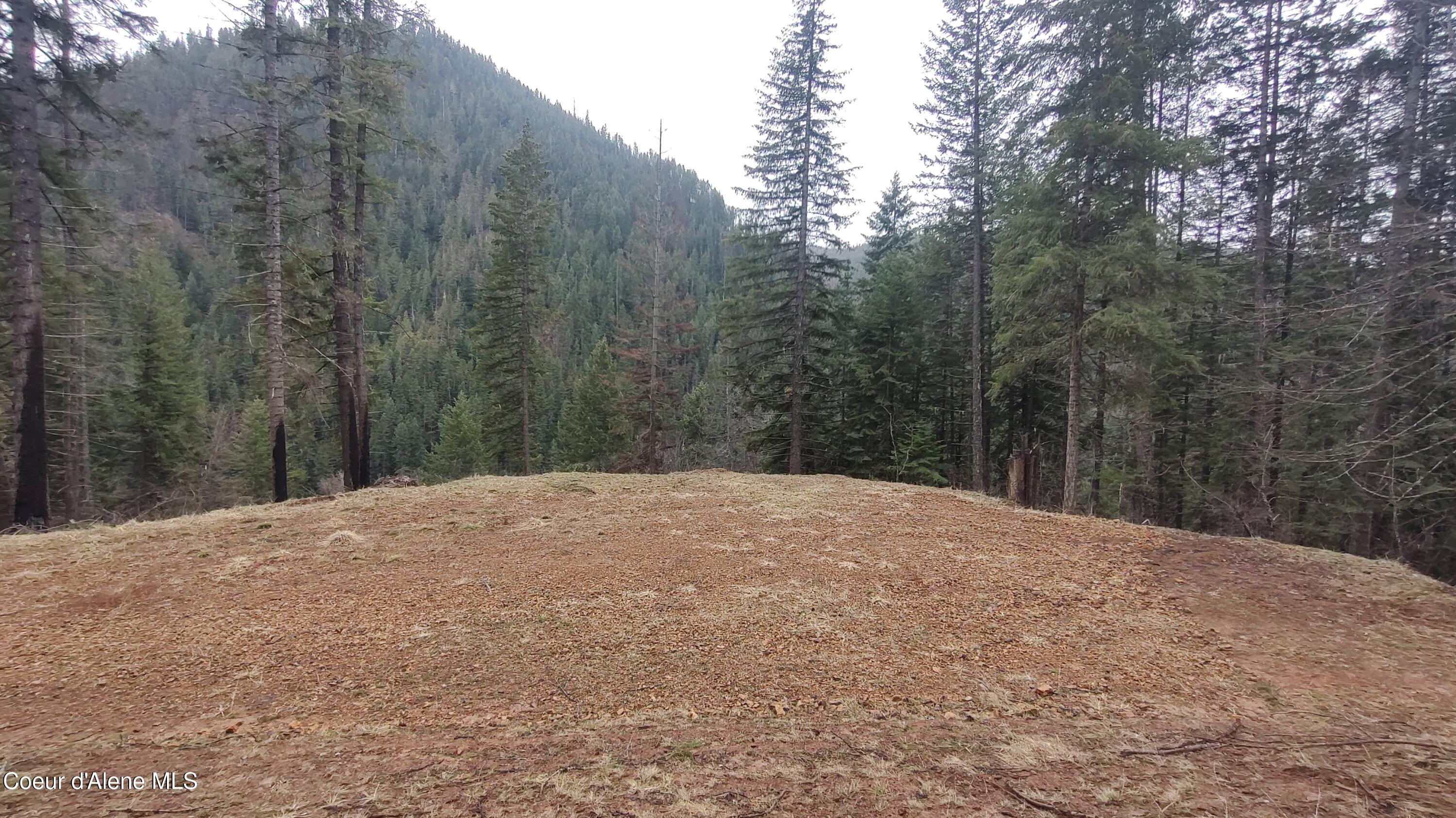 480 Dunn Peak Road Avery, ID 83802 - Photo 24 of 33 IMG_20260329_111828285