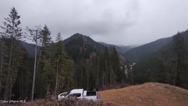 $590,000 | 480 Dunn Peak Road, Avery, ID 83802