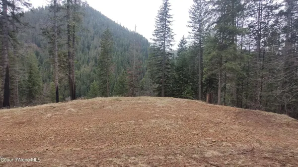 $590,000 | 480 Dunn Peak Road, Avery, ID 83802