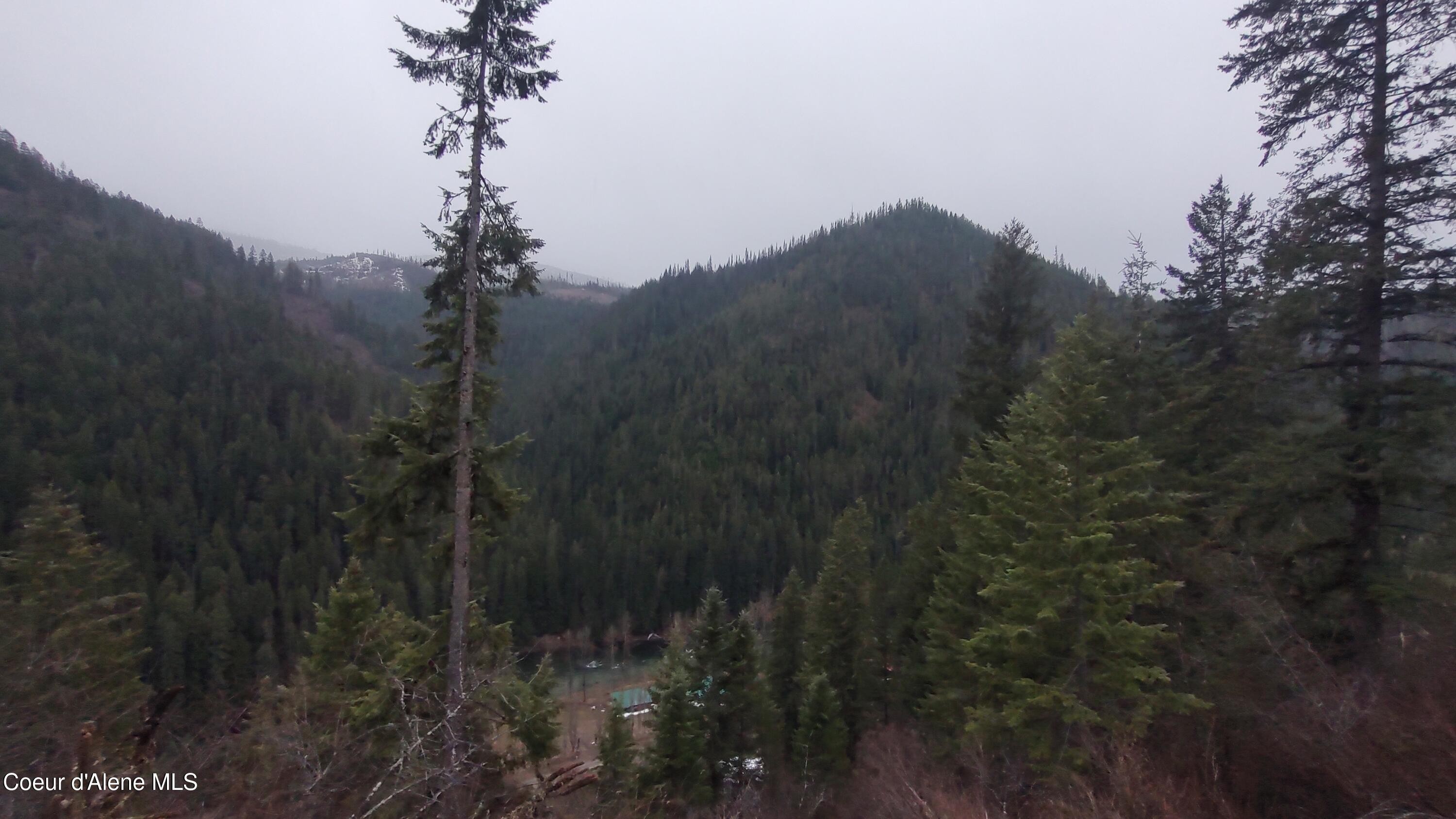 480 Dunn Peak Road Avery, ID 83802 - Photo 30 of 33 IMG_20260329_112951007