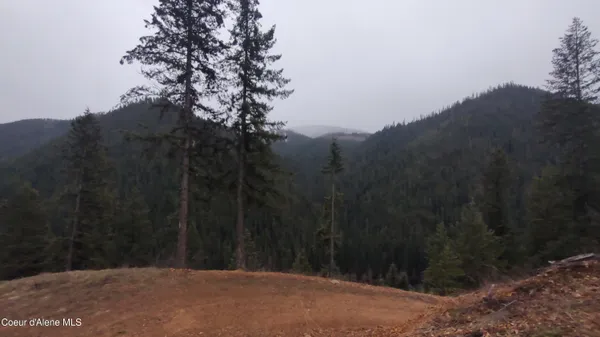 $590,000 | 480 Dunn Peak Road, Avery, ID 83802