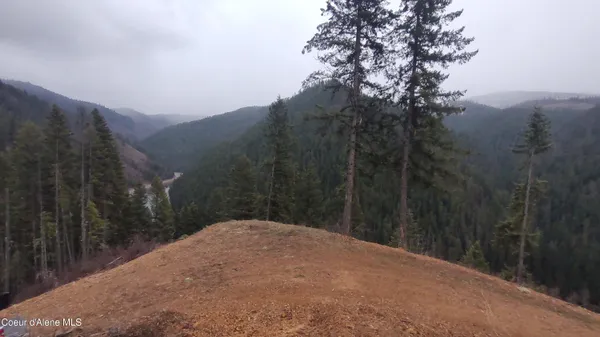 $590,000 | 480 Dunn Peak Road, Avery, ID 83802