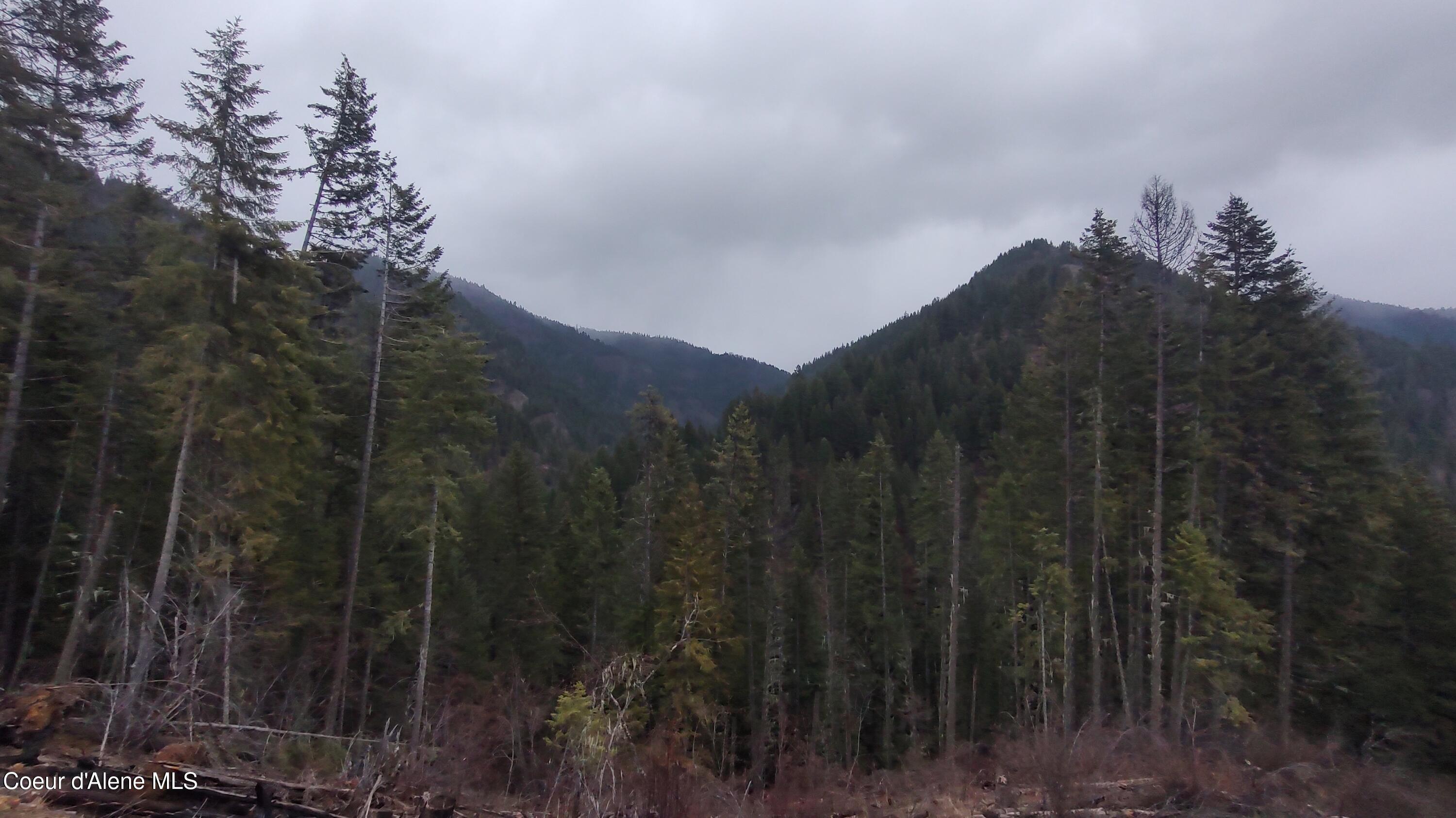 480 Dunn Peak Road Avery, ID 83802 - Photo 32 of 33 IMG_20260329_112905038