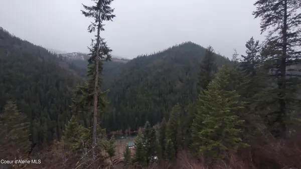 $590,000 | 480 Dunn Peak Road, Avery, ID 83802