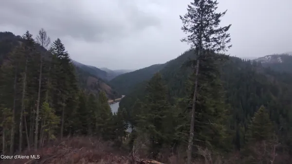 $590,000 | 480 Dunn Peak Road, Avery, ID 83802