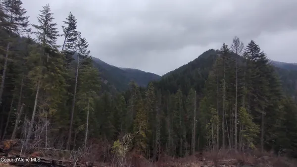 $590,000 | 480 Dunn Peak Road, Avery, ID 83802