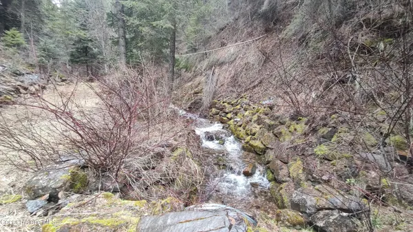 $590,000 | 480 Dunn Peak Road, Avery, ID 83802