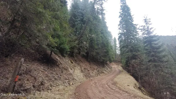 $590,000 | 480 Dunn Peak Road, Avery, ID 83802