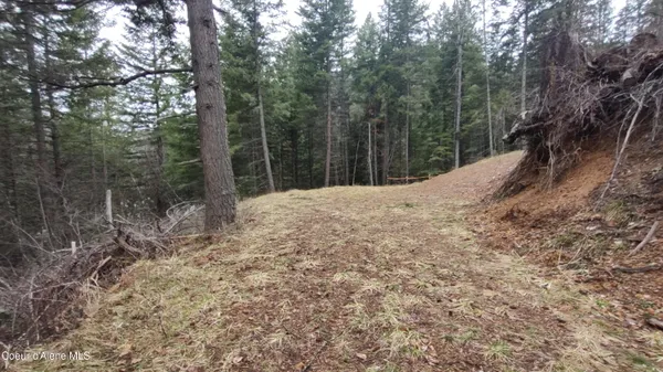 $590,000 | 480 Dunn Peak Road, Avery, ID 83802