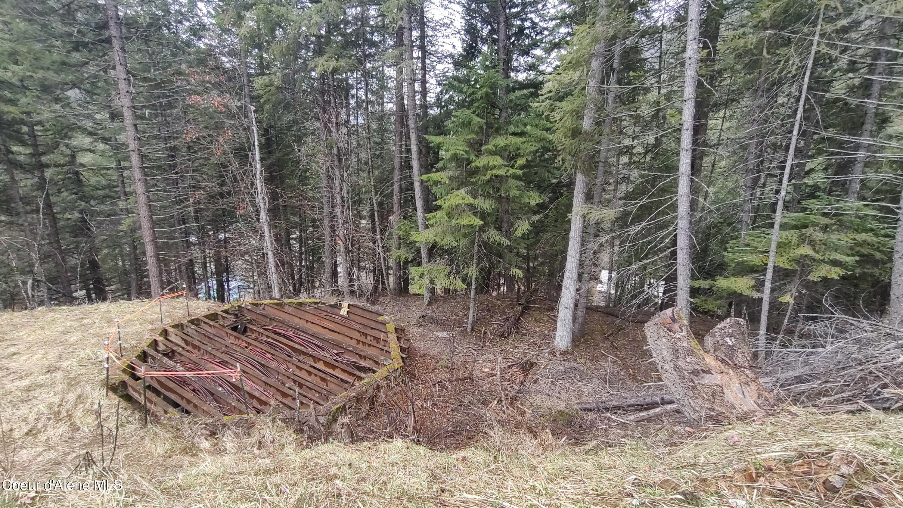 480 Dunn Peak Road Avery, ID 83802 - Photo 9 of 33 IMG_20260329_120436696