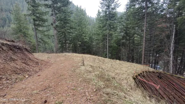 $590,000 | 480 Dunn Peak Road, Avery, ID 83802