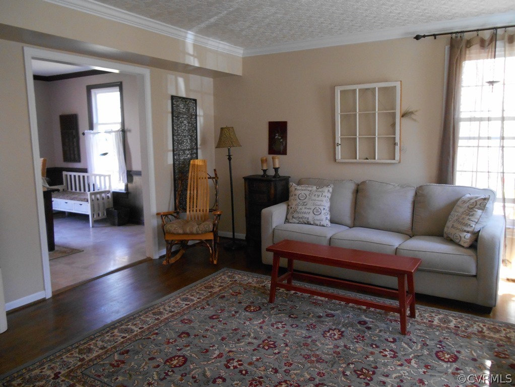 4904 Court Ridge Terrace Midlothian, VA 23112 - Photo 12 of 20 a living room with furniture and a rug
